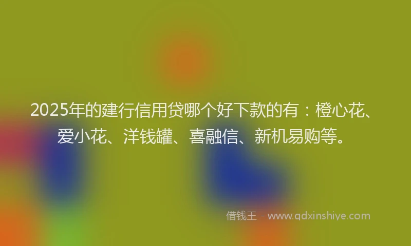 2025年的建行信用贷哪个好下款的有：橙心花、爱小花、洋钱罐、喜融信、新机易购等。