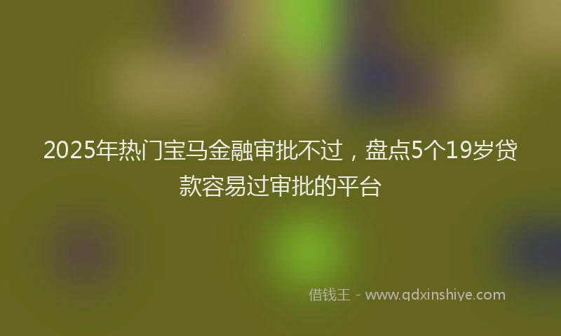 2025年热门宝马金融审批不过，盘点5个19岁贷款容易过审批的平台