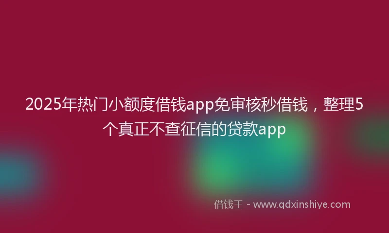 2025年热门小额度借钱app免审核秒借钱，整理5个真正不查征信的贷款app