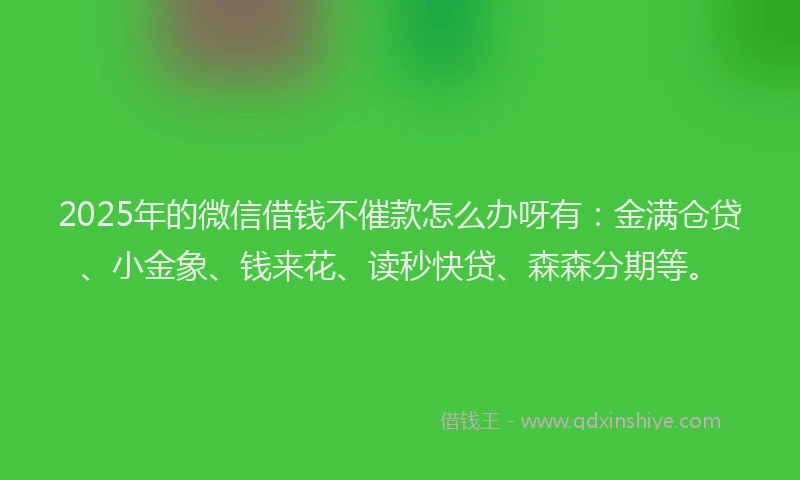 2025年的微信借钱不催款怎么办呀有：金满仓贷、小金象、钱来花、读秒快贷、森森分期等。