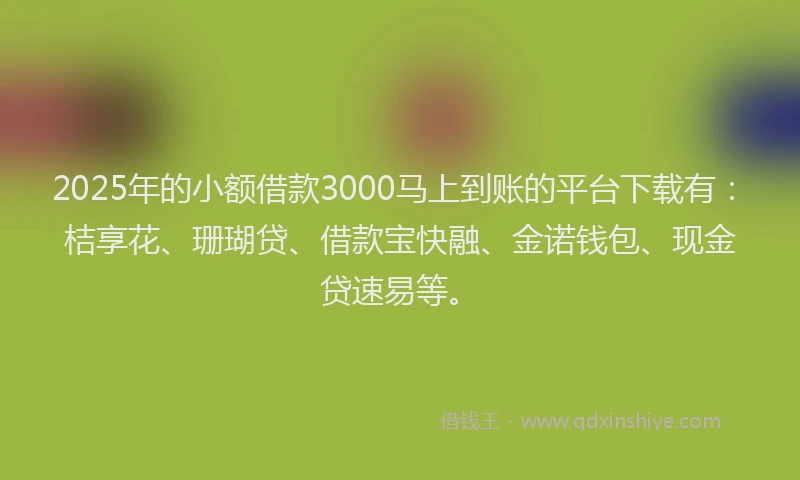 2025年的小额借款3000马上到账的平台下载有：桔享花、珊瑚贷、借款宝快融、金诺钱包、现金贷速易等。