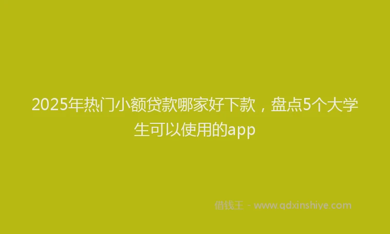 2025年热门小额贷款哪家好下款，盘点5个大学生可以使用的app