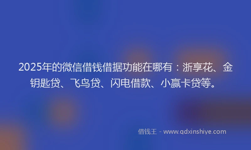 2025年的微信借钱借据功能在哪有：浙享花、金钥匙贷、飞鸟贷、闪电借款、小赢卡贷等。