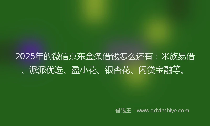2025年的微信京东金条借钱怎么还有：米族易借、派派优选、盈小花、银杏花、闪贷宝融等。