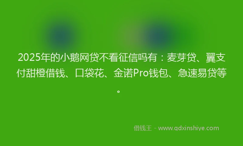 2025年的小鹅网贷不看征信吗有：麦芽贷、翼支付甜橙借钱、口袋花、金诺Pro钱包、急速易贷等。