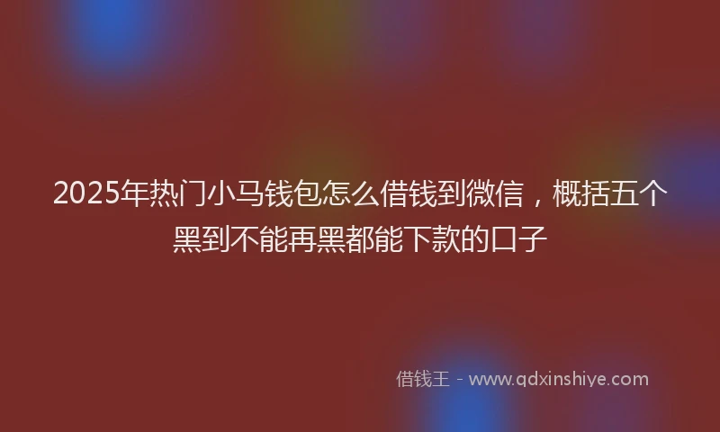 2025年热门小马钱包怎么借钱到微信，概括五个黑到不能再黑都能下款的口子