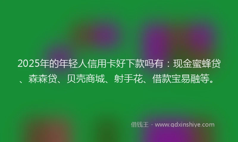 2025年的年轻人信用卡好下款吗有：现金蜜蜂贷、森森贷、贝壳商城、射手花、借款宝易融等。