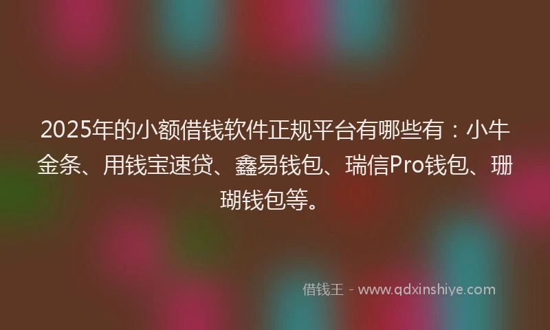 2025年的小额借钱软件正规平台有哪些有：小牛金条、用钱宝速贷、鑫易钱包、瑞信Pro钱包、珊瑚钱包等。