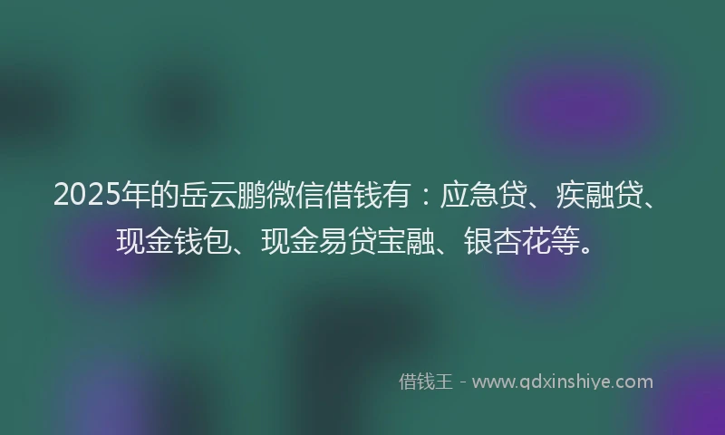 2025年的岳云鹏微信借钱有：应急贷、疾融贷、现金钱包、现金易贷宝融、银杏花等。