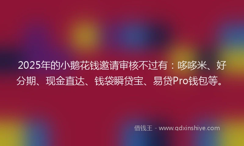2025年的小鹅花钱邀请审核不过有：哆哆米、好分期、现金直达、钱袋瞬贷宝、易贷Pro钱包等。