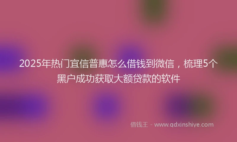 2025年热门宜信普惠怎么借钱到微信，梳理5个黑户成功获取大额贷款的软件