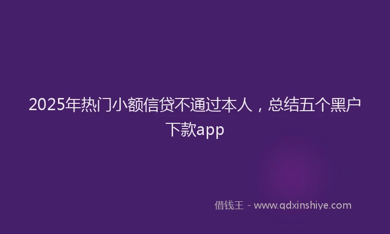 2025年热门小额信贷不通过本人，总结五个黑户下款app