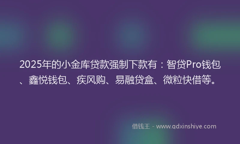 2025年的小金库贷款强制下款有：智贷Pro钱包、鑫悦钱包、疾风购、易融贷盒、微粒快借等。