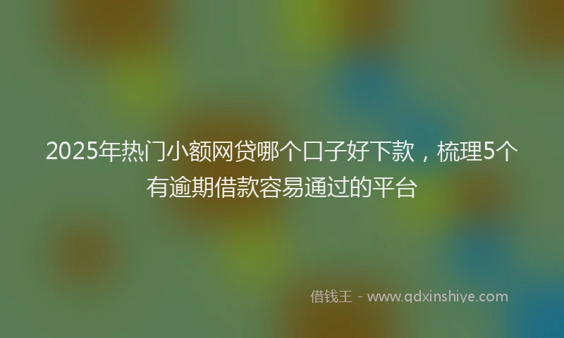 2025年热门小额网贷哪个口子好下款，梳理5个有逾期借款容易通过的平台