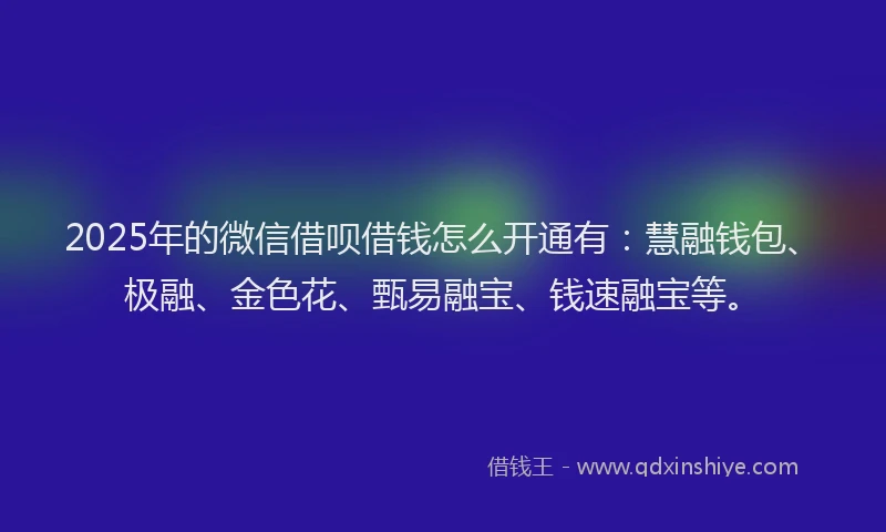 2025年的微信借呗借钱怎么开通有：慧融钱包、极融、金色花、甄易融宝、钱速融宝等。