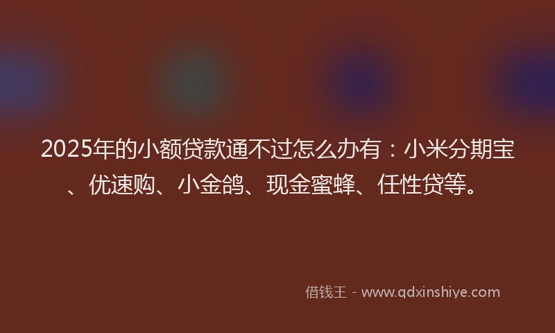 2025年的小额贷款通不过怎么办有：小米分期宝、优速购、小金鸽、现金蜜蜂、任性贷等。