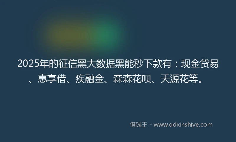 2025年的征信黑大数据黑能秒下款有：现金贷易、惠享借、疾融金、森森花呗、天源花等。