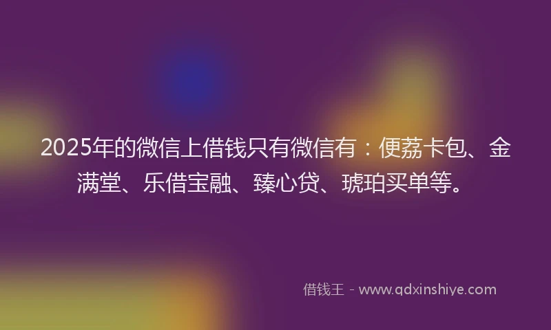 2025年的微信上借钱只有微信有：便荔卡包、金满堂、乐借宝融、臻心贷、琥珀买单等。