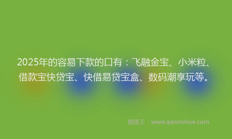 2025年的容易下款的口有：飞融金宝、小米粒、借款宝快贷宝、快借易贷宝盒、数码潮享玩等。