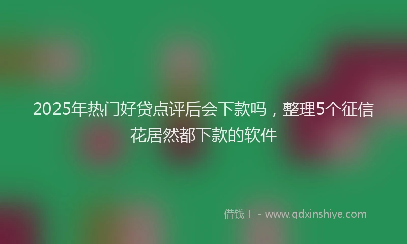 2025年热门好贷点评后会下款吗，整理5个征信花居然都下款的软件