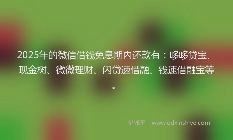 2025年的微信借钱免息期内还款有：哆哆贷宝、现金树、微微理财、闪贷速借融、钱速借融宝等。
