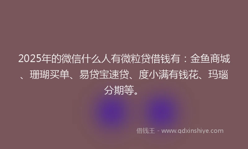 2025年的微信什么人有微粒贷借钱有：金鱼商城、珊瑚买单、易贷宝速贷、度小满有钱花、玛瑙分期等。