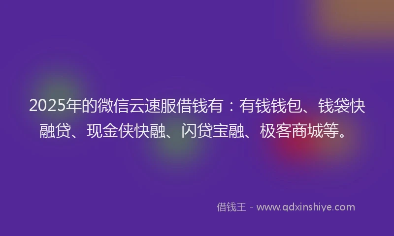 2025年的微信云速服借钱有：有钱钱包、钱袋快融贷、现金侠快融、闪贷宝融、极客商城等。