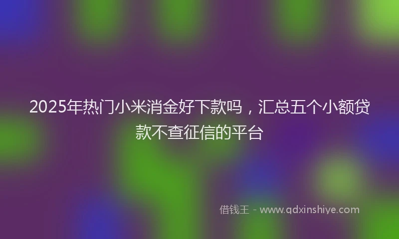 2025年热门小米消金好下款吗，汇总五个小额贷款不查征信的平台