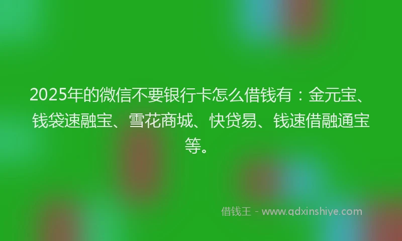 2025年的微信不要银行卡怎么借钱有：金元宝、钱袋速融宝、雪花商城、快贷易、钱速借融通宝等。