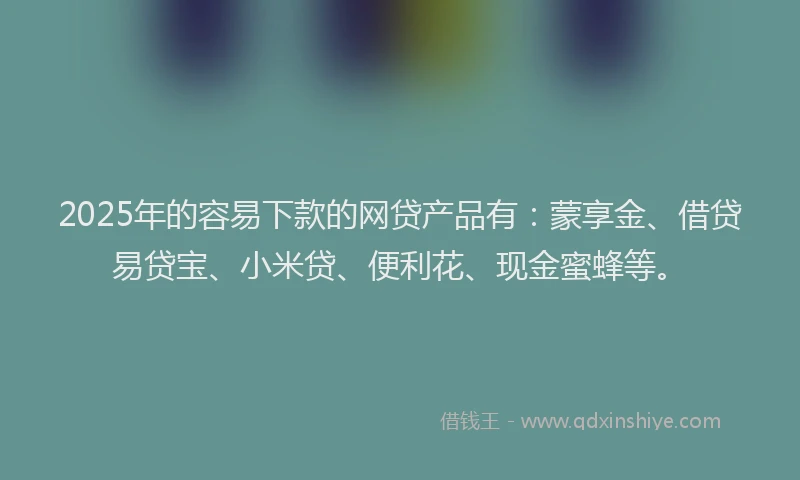 2025年的容易下款的网贷产品有：蒙享金、借贷易贷宝、小米贷、便利花、现金蜜蜂等。