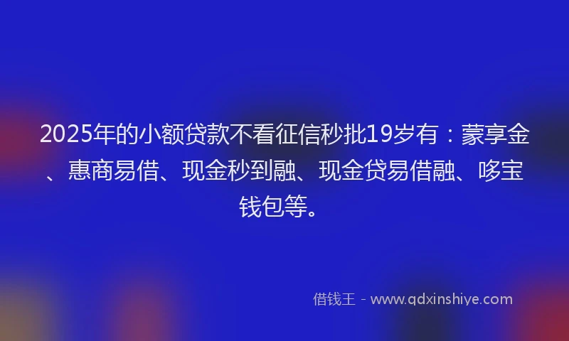 2025年的小额贷款不看征信秒批19岁有：蒙享金、惠商易借、现金秒到融、现金贷易借融、哆宝钱包等。