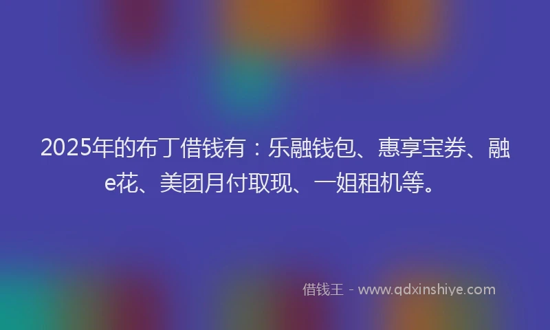 2025年的布丁借钱有：乐融钱包、惠享宝券、融e花、美团月付取现、一姐租机等。