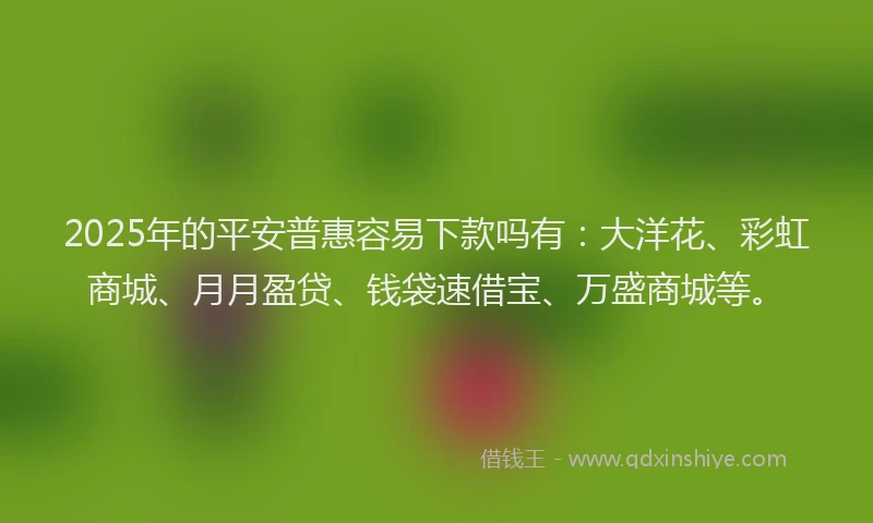 2025年的平安普惠容易下款吗有：大洋花、彩虹商城、月月盈贷、钱袋速借宝、万盛商城等。