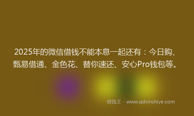 2025年的微信借钱不能本息一起还有：今日购、甄易借通、金色花、替你速还、安心Pro钱包等。