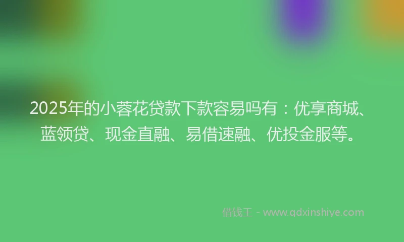 2025年的小蓉花贷款下款容易吗有：优享商城、蓝领贷、现金直融、易借速融、优投金服等。