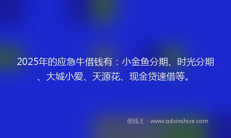 2025年的应急牛借钱有：小金鱼分期、时光分期、大城小爱、天源花、现金贷速借等。