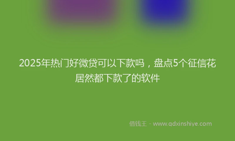 2025年热门好微贷可以下款吗，盘点5个征信花居然都下款了的软件
