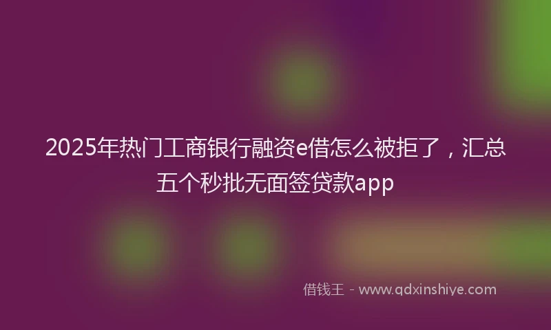2025年热门工商银行融资e借怎么被拒了，汇总五个秒批无面签贷款app