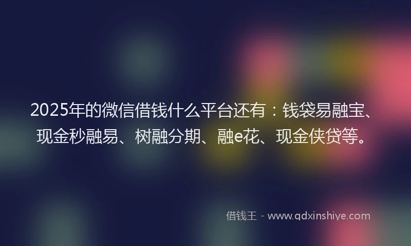 2025年的微信借钱什么平台还有：钱袋易融宝、现金秒融易、树融分期、融e花、现金侠贷等。