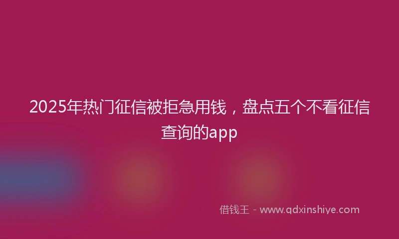 2025年热门征信被拒急用钱，盘点五个不看征信查询的app