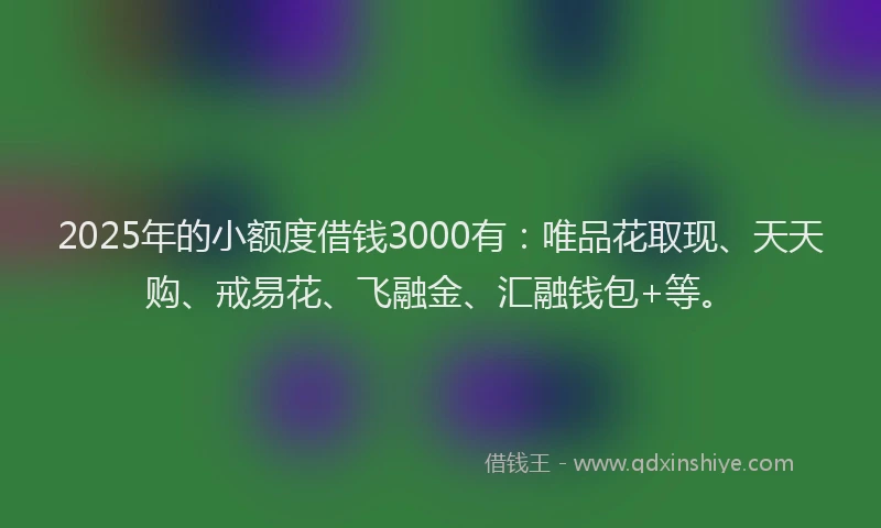 2025年的小额度借钱3000有：唯品花取现、天天购、戒易花、飞融金、汇融钱包+等。