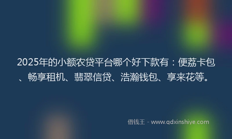 2025年的小额农贷平台哪个好下款有：便荔卡包、畅享租机、翡翠信贷、浩瀚钱包、享来花等。