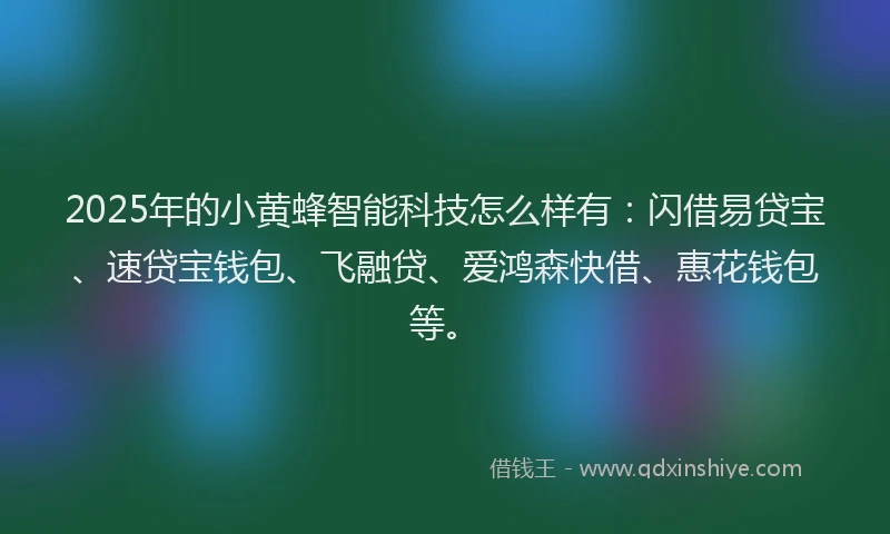 2025年的小黄蜂智能科技怎么样有：闪借易贷宝、速贷宝钱包、飞融贷、爱鸿森快借、惠花钱包等。