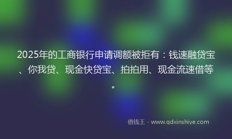 2025年的工商银行申请调额被拒有：钱速融贷宝、你我贷、现金快贷宝、拍拍用、现金流速借等。