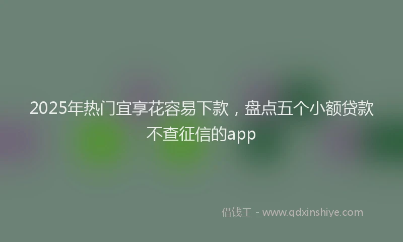 2025年热门宜享花容易下款，盘点五个小额贷款不查征信的app