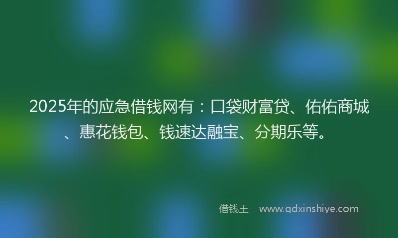 2025年的应急借钱网有：口袋财富贷、佑佑商城、惠花钱包、钱速达融宝、分期乐等。