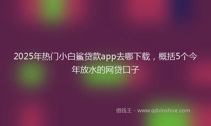 2025年热门小白鲨贷款app去哪下载，概括5个今年放水的网贷口子