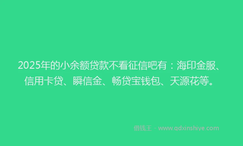 2025年的小余额贷款不看征信吧有：海印金服、信用卡贷、瞬信金、畅贷宝钱包、天源花等。