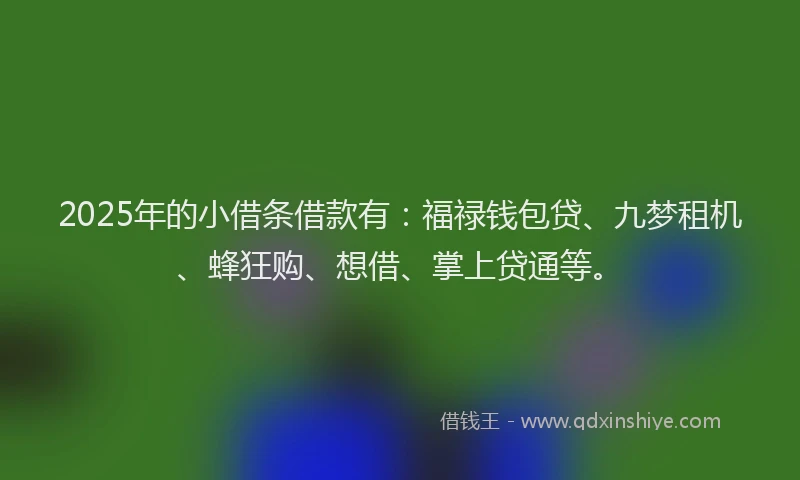 2025年的小借条借款有：福禄钱包贷、九梦租机、蜂狂购、想借、掌上贷通等。