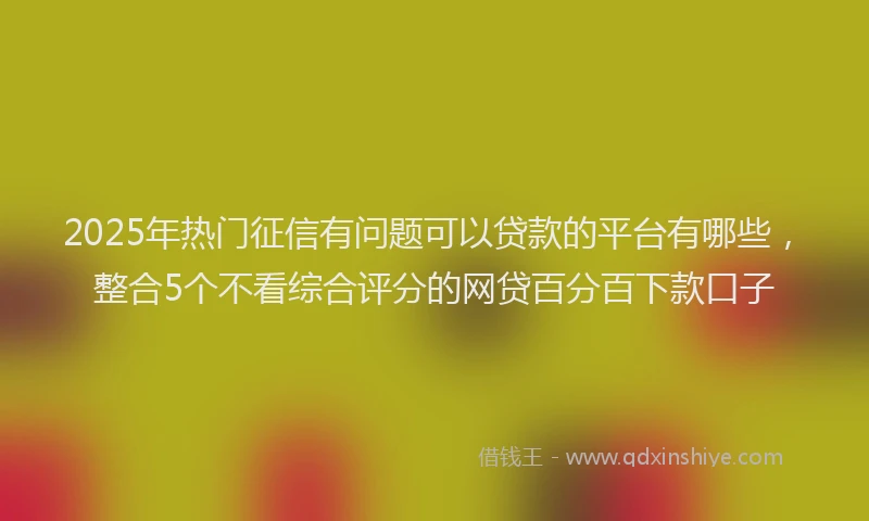 2025年热门征信有问题可以贷款的平台有哪些，整合5个不看综合评分的网贷百分百下款口子